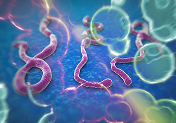 https://www.stanemergency.com/images/ebola.jpg